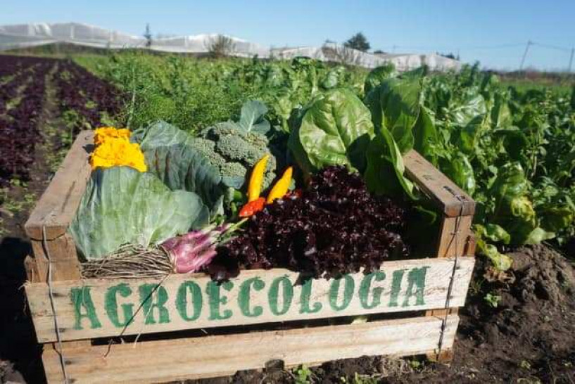 imagen Se abre la inscripción al curso "Agroecología: hacia una producción sustentable" en el Sur mendocino