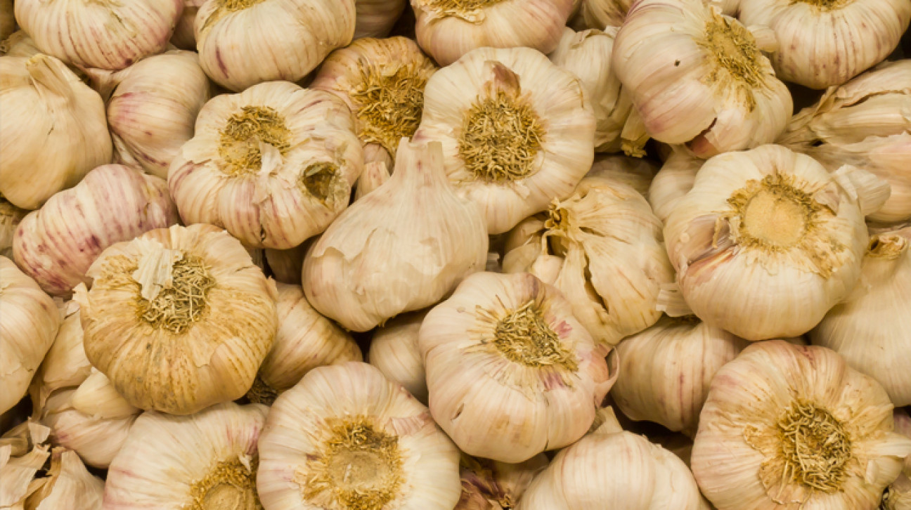 imagen Miembros del Laboratorio QUIANID estudiaron los efectos de tradicionales métodos de cocción sobre el contenido de selenio y la especiación en ajo (Allium sativum L.)