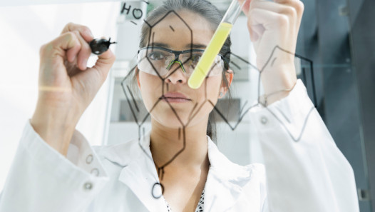 imagen Abre el Programa de Becas de Investigación para Estudiantes Avanzados 