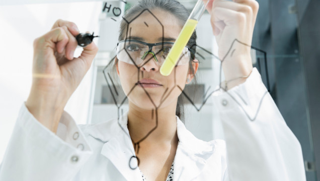 imagen Abre el Programa de Becas de Investigación para Estudiantes Avanzados 