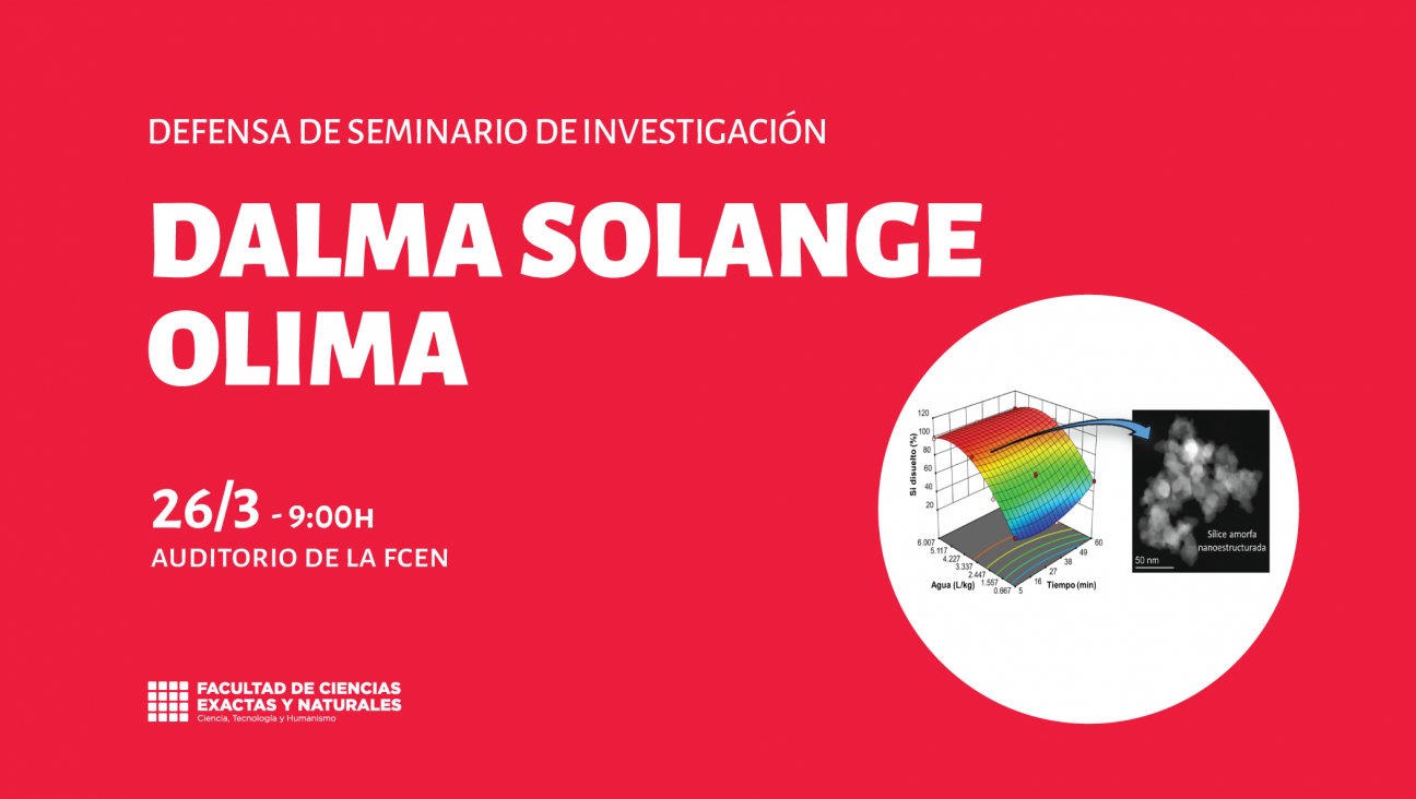 imagen Defensa de Seminario de Investigación a cargo de Dalma Solange Olima