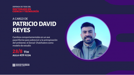 imagen Defensa de Tesis del Doctorado en Ciencia y Tecnología a cargo de Patricio David Reyes