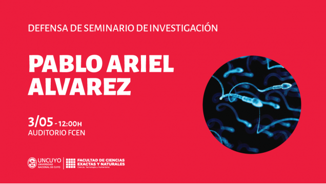 imagen Defensa de Seminario de Investigación de Pablo Ariel Alvarez