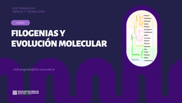 imagen Inscripiones abiertas para el curso de posgrado "Filogenias y evolución molecular"