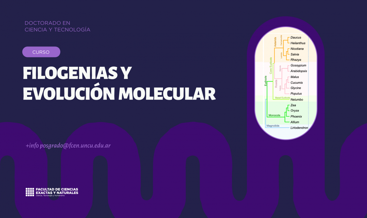 imagen Inscripiones abiertas para el curso de posgrado "Filogenias y evolución molecular"