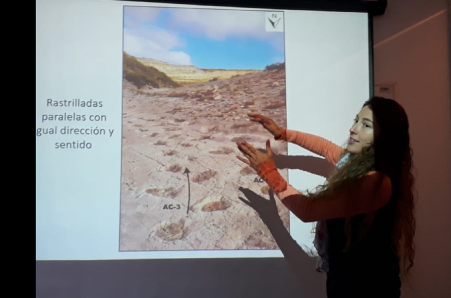 imagen Dinosaurios: actividades en Valdivia y regiones del sur de Chile 