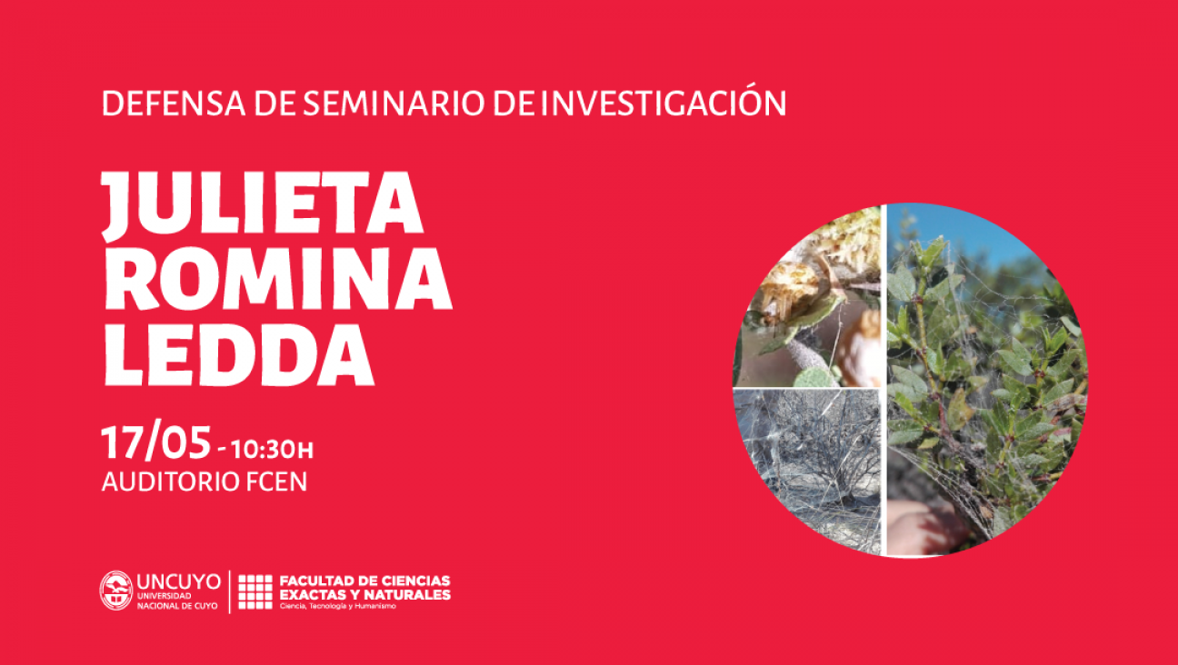 imagen Defensa de Seminario de Investigación de Julieta Romina Ledda