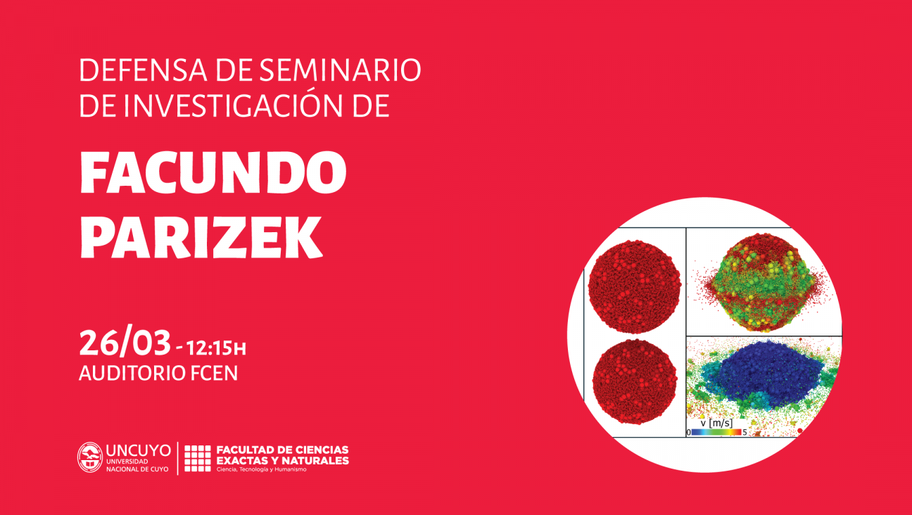 imagen Defensa de Seminario de Investigación de Facundo Parizek