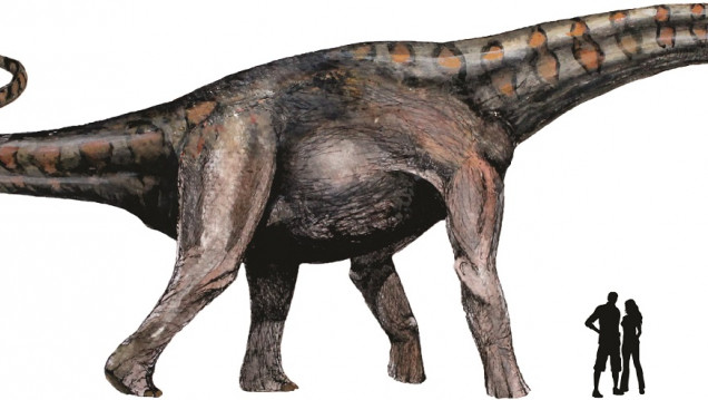 imagen Un nuevo linaje de dinosaurios gigantes: los colossosaurios 