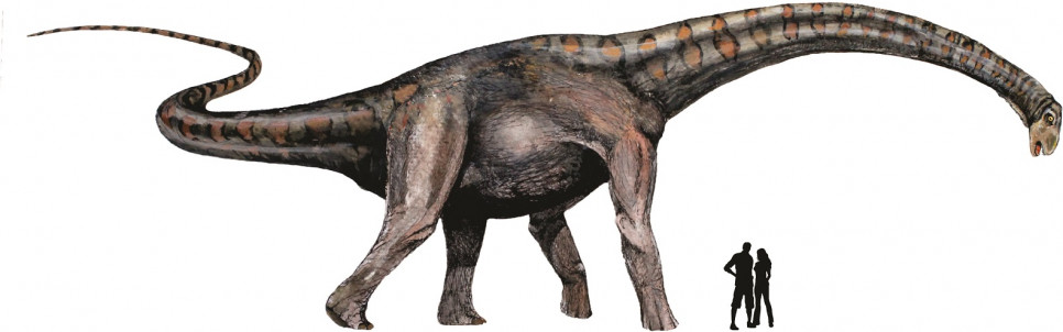 imagen Un nuevo linaje de dinosaurios gigantes: los colossosaurios 