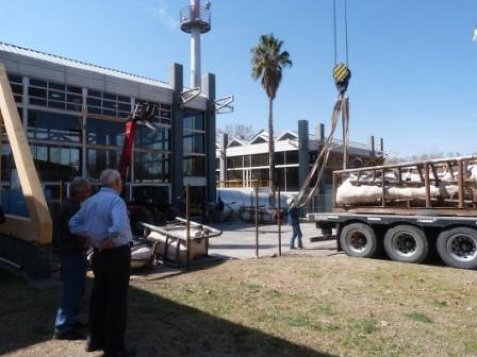 imagen Ya está en el ICB el primero de los Dinosaurios de su laboratorio en Paleontología de Vertebrados