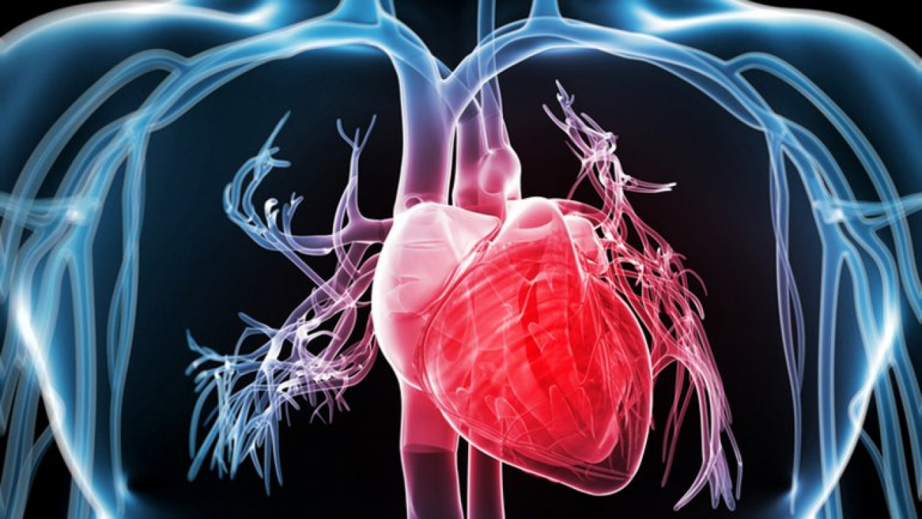 imagen Charla abierta: Estimación del esfuerzo  miocárdico en ecocardiografías  mediante un enfoque de  Speckle Tracking difeomórfico