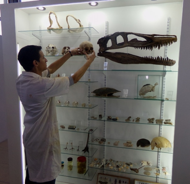 imagen Se inauguró el "Gabinete de Paleobiología y evolución"