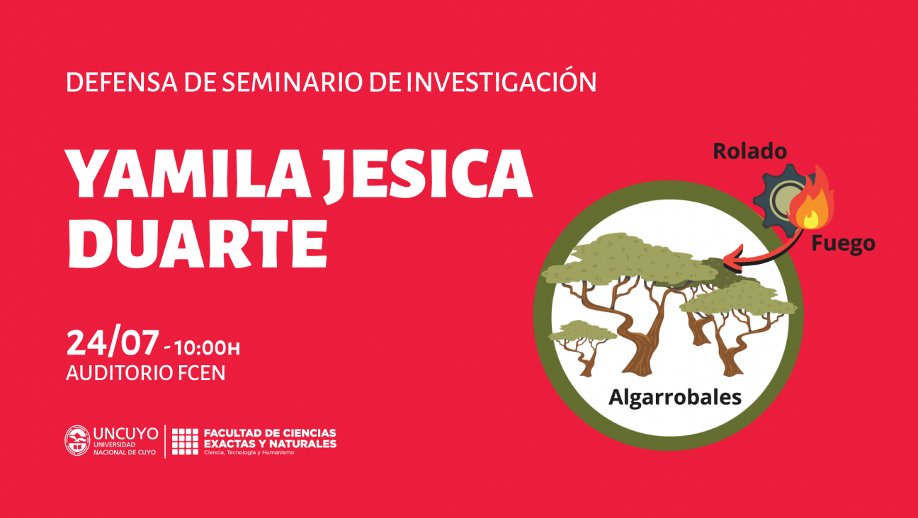 imagen Defensa de Seminario de Investigación de Yamila Jesica Duarte