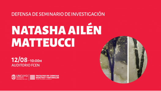 imagen Defensa de Seminario de Investigación de Natasha Ailén Matteucci