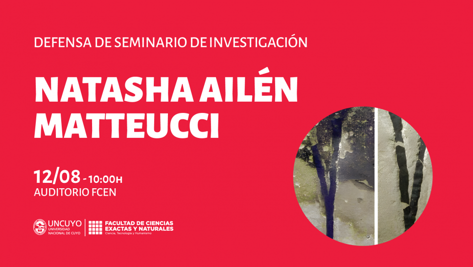 imagen Defensa de Seminario de Investigación de Natasha Ailén Matteucci