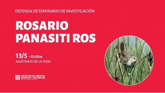 imagen Defensa de Seminario de Investigación a cargo de Rosario Panasiti Ros