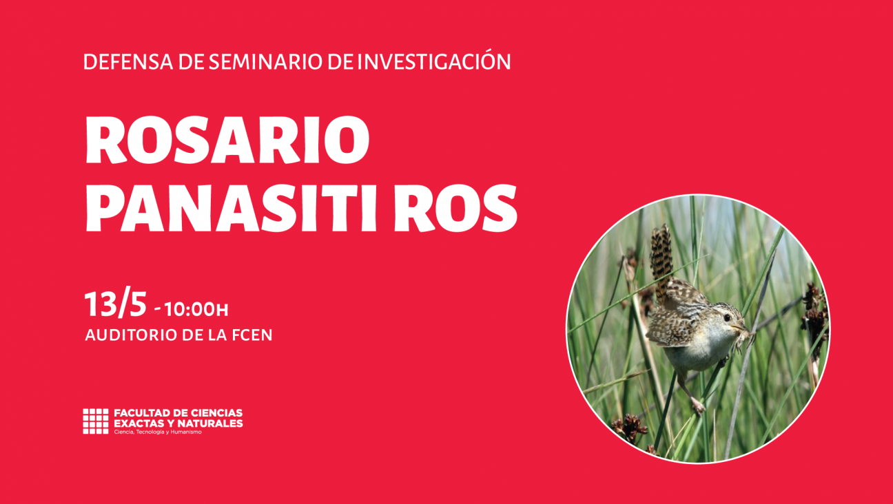 imagen Defensa de Seminario de Investigación a cargo de Rosario Panasiti Ros