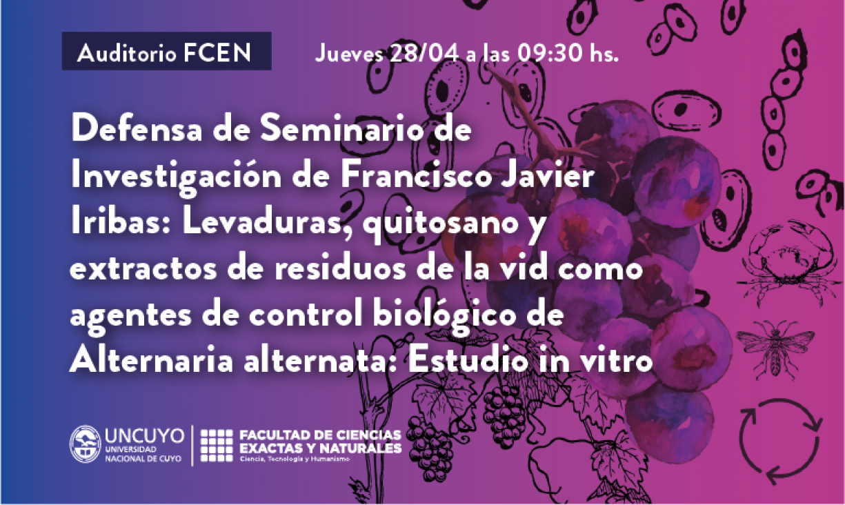 imagen Defensa de Seminario de Investigación de Francisco Javier Iribas