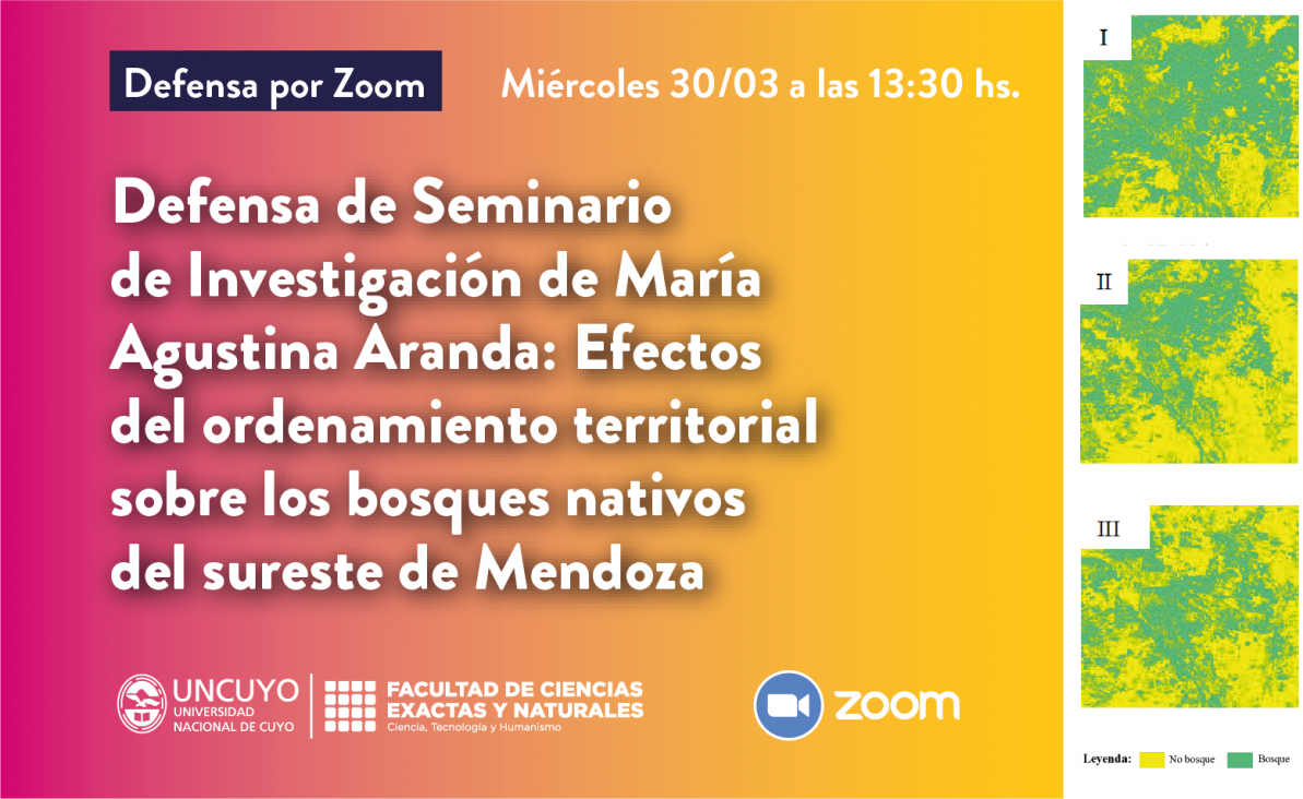 imagen Defensa del Seminario de Investigación de María Agustina Aranda