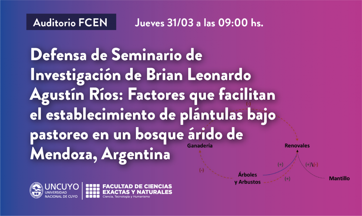 imagen Defensa del Seminario de Investigación de Brian Leonardo Ríos