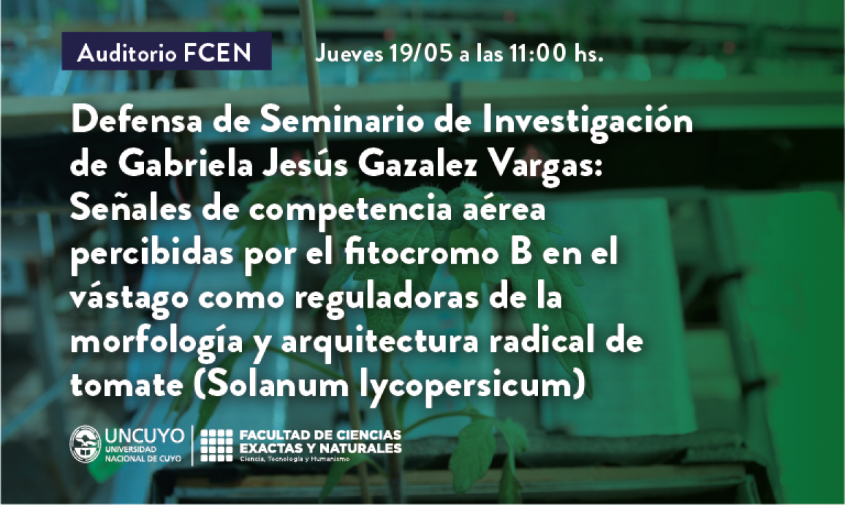 imagen Defensa de Seminario de Investigación de Gabriela Jesús Gazalez Vargas