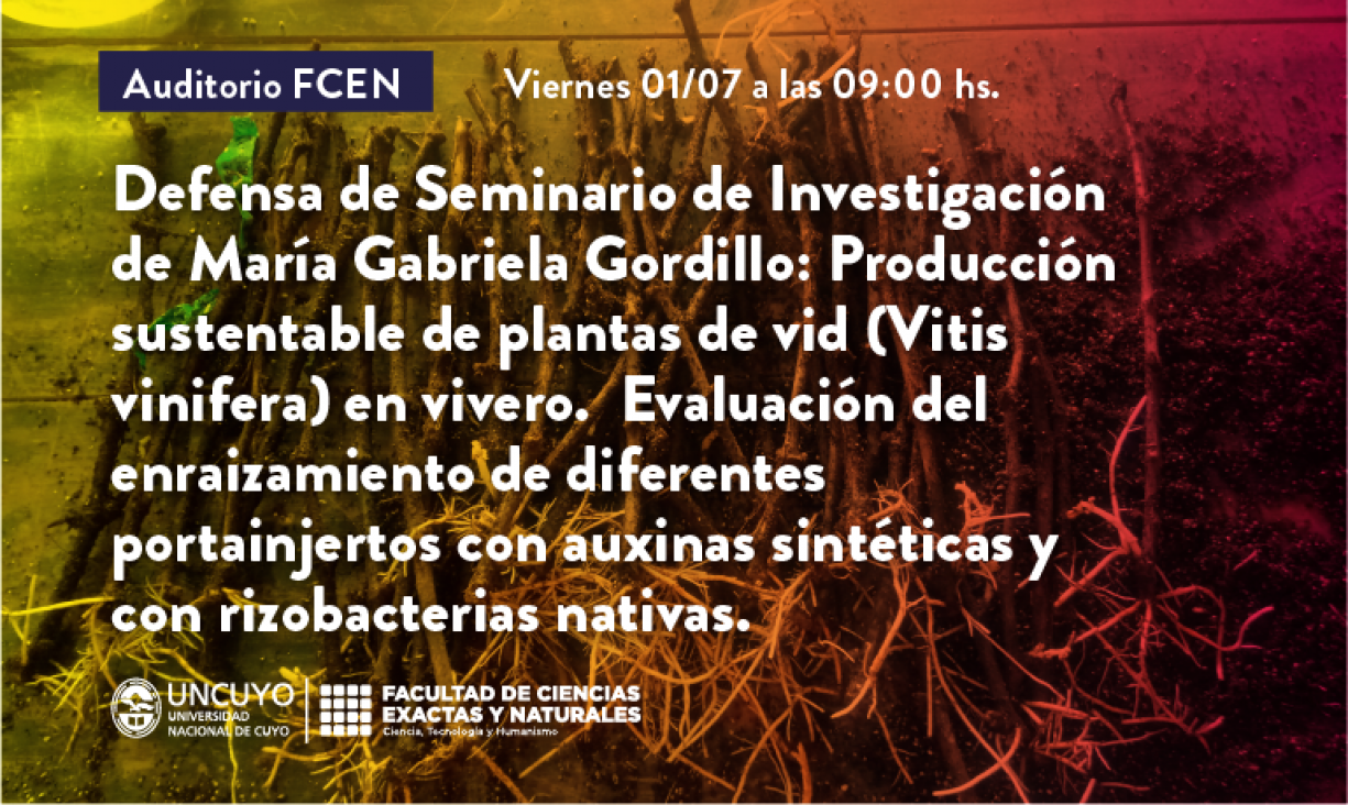 imagen Defensa de Seminario de Investigación de María Gabriela Gordillo