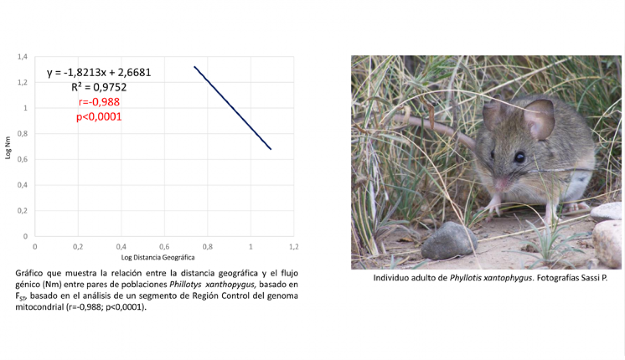 imagen Defensa de Seminario de Investigación de Andrea Carolina Martínez