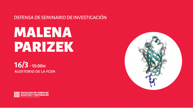 imagen Defensa de Seminario de Investigación a cargo de Malena Parizek