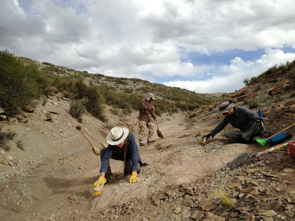 imagen Equipo de Dinosaurios de la FCEN-UNCUYO: avances en la investigación y protección del Parque Cretácico Huellas de Dinosaurios de Malargüe 