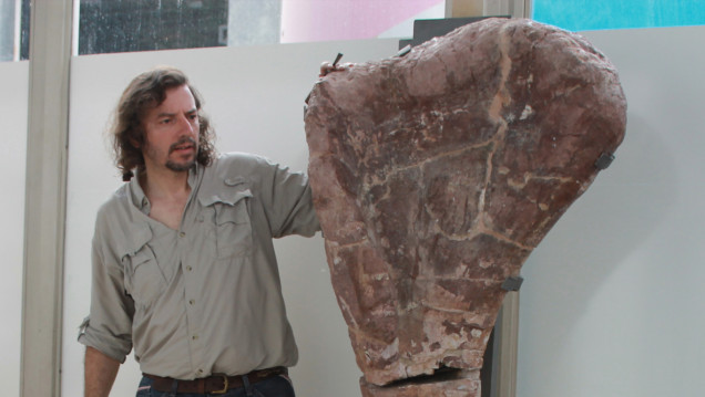 imagen El Laboratorio de Dinosaurios de la FCEN anuncia el descubrimiento del dinosaurio Notocolossus, uno de los mayores animales terrestres conocidos
