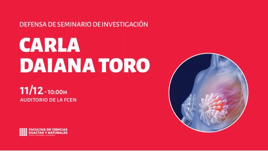 imagen Defensa de Seminario de Investigación a cargo de Carla Daiana Toro