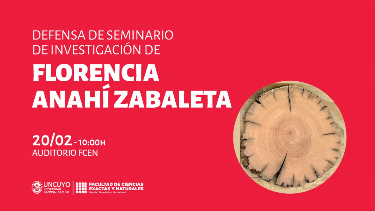 imagen Defensa de Seminario de Investigación de Florencia Anahí Zabaleta