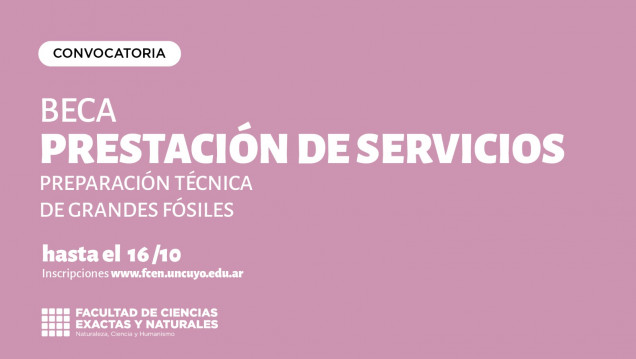 imagen Convocatoria a estudiantes avanzados para Beca - Preparación técnica de grandes fósiles