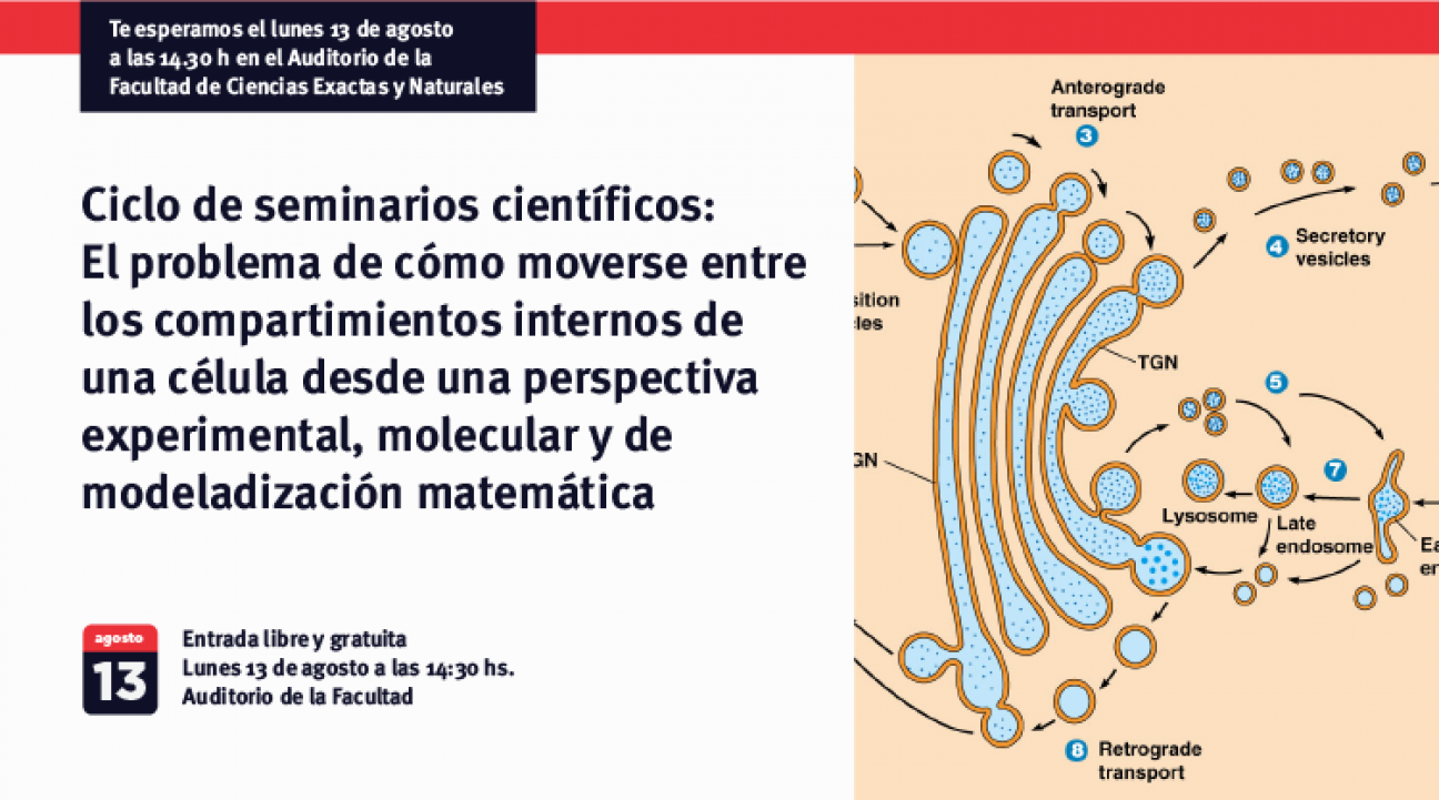 imagen El problema de cómo moverse entre los compartimientos internos de una célula desde una perspectiva experimental, molecular y de modeladización matemática