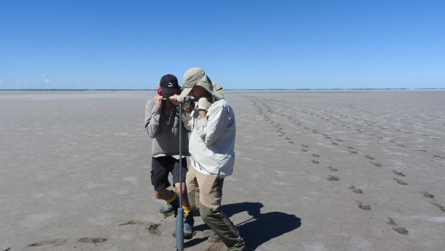 imagen Ecología del pasado: La biología y la geología convergen para entender el cambio climático y ambiental en el sur de Mendoza