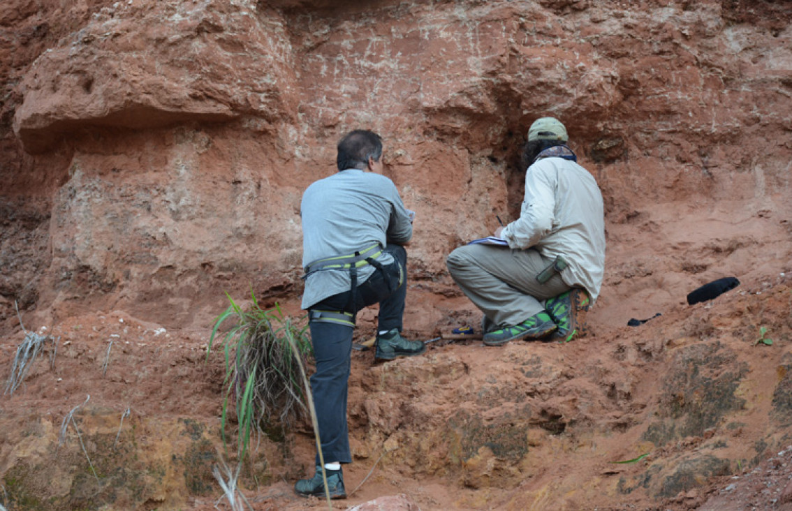 imagen Descubren dinosaurios en Brasil: viaje del Prof. Dr. Bernardo González Riga