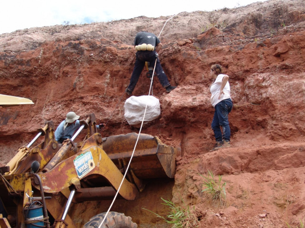 imagen Director del Laboratorio de Dinosaurios participó como investigador invitado en el descubrimiento de un dinosaurio en Brasil