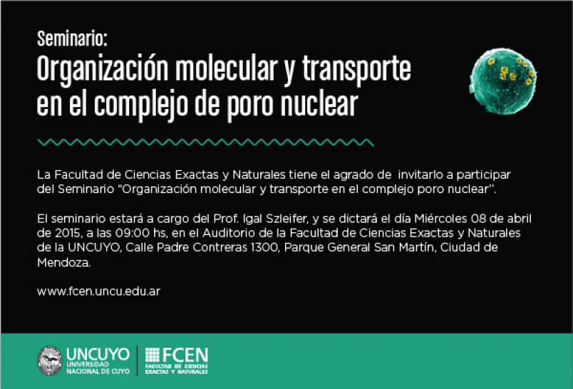 imagen Seminario: Organización molecular y transporte en el complejo poro nuclear