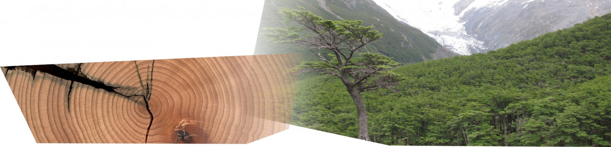imagen Isótopos estables en archivos naturales: antecedentes teóricos y aplicaciones ecológicas y paleoclimáticas