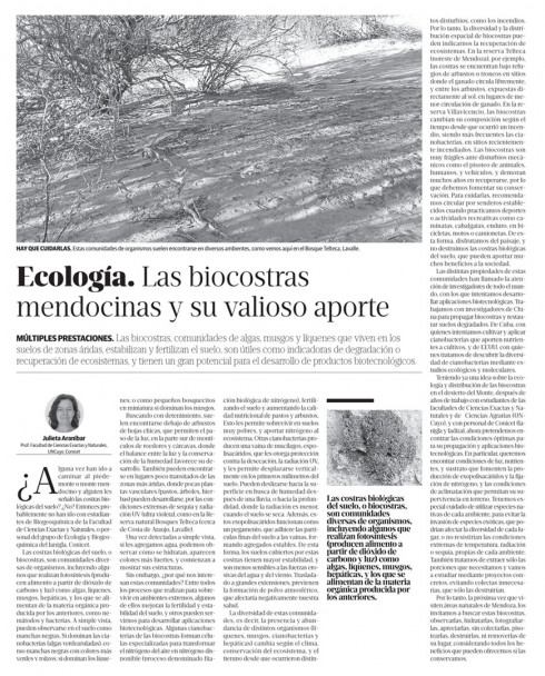 imagen Biocostras mendocinas: Julieta Aranibar nos cuenta en una nota de Diario Los Andes qué son y para qué sirven
