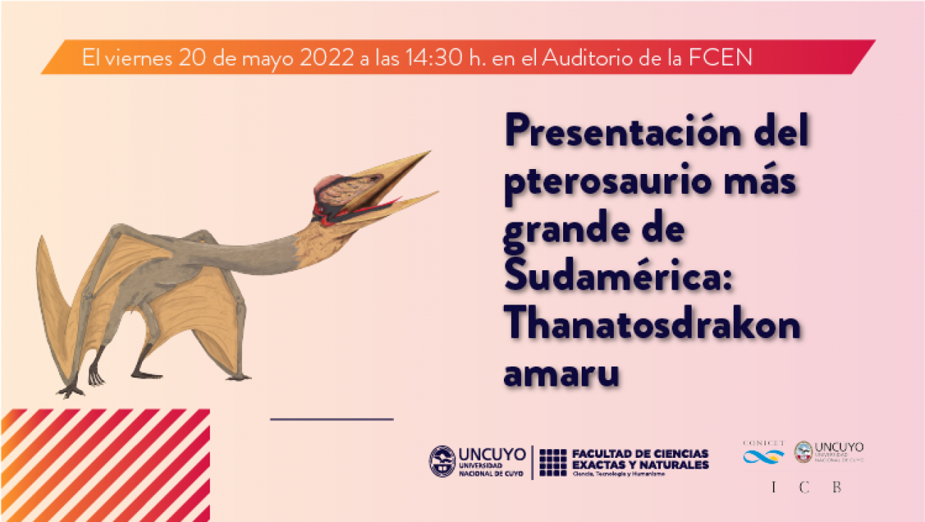 imagen Presentación del pterosaurio más grande de Sudamérica: Thanatosdrakon amaru