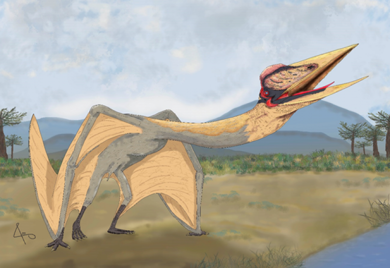 imagen Hoy, charla: Thanatosdrakon, el mayor animal que voló en los cielos de Sudamérica