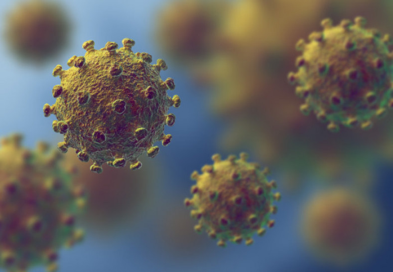 imagen Nuevo encuentro Seminario virtual "Epidemiología de la pandemia COVID-19. Simulaciones y conclusiones"