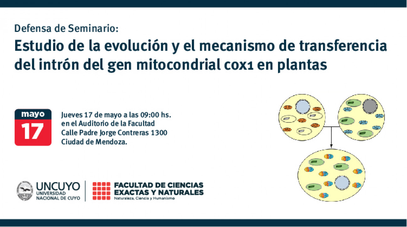 imagen Defensa de Seminario de Investigación de Luis Federico Ceriotti