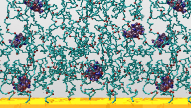 imagen Seminario "Modelado molecular de la adsorción de biomoléculas por hidrogeles de poli(ácido acrílico)"