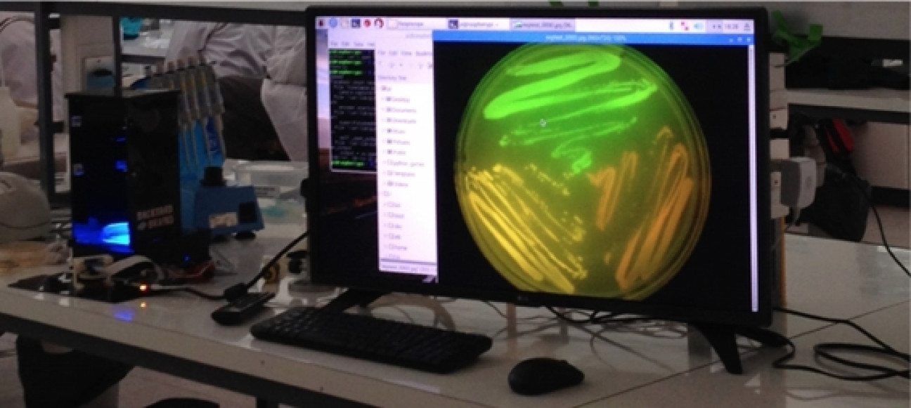 imagen Taller: Tecnologías libres en biología molecular