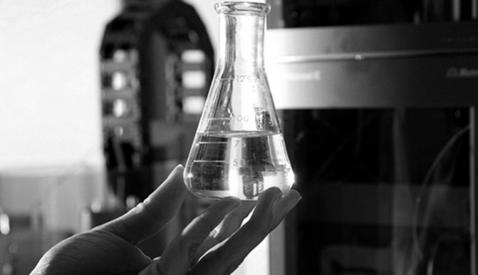 imagen Defensa Oral de la Tesis de Licenciatura: Evaluación de la producción de etanol durante la fermentación de cepas mutantes de Saccharomyces cerevisiae obtenidas mediante técnicas de ingeniería genética, a cargo de Karina Flores Montero