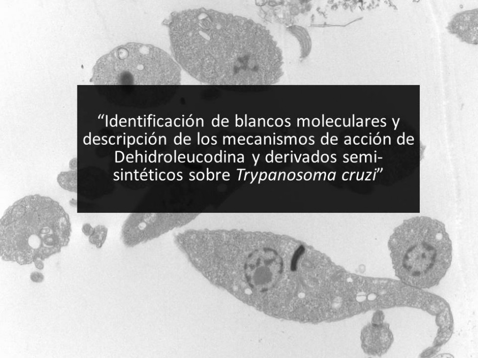 imagen Defensa virtual del Seminario de Investigación de Jessica Daniela Gómez