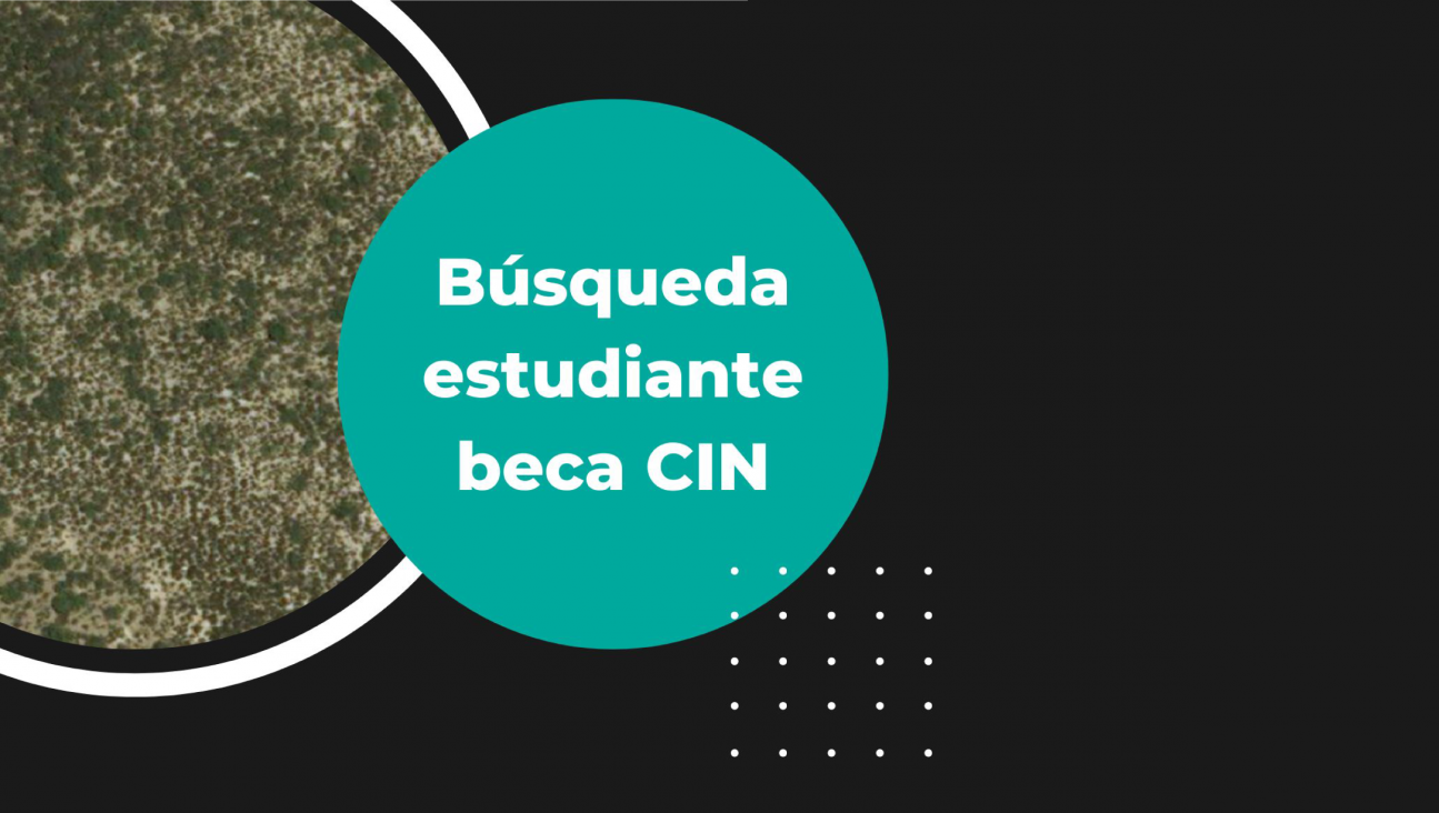 imagen Se busca estudiante para convocatoria a beca CIN